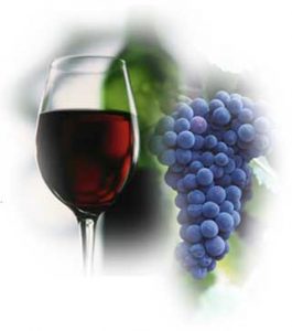 wine_grapes